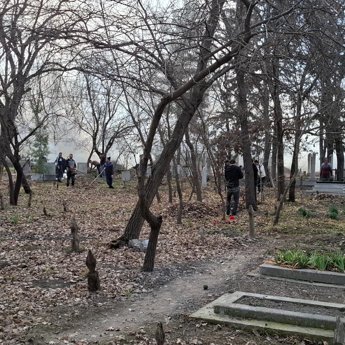 Ərazinin  Təmizliyi